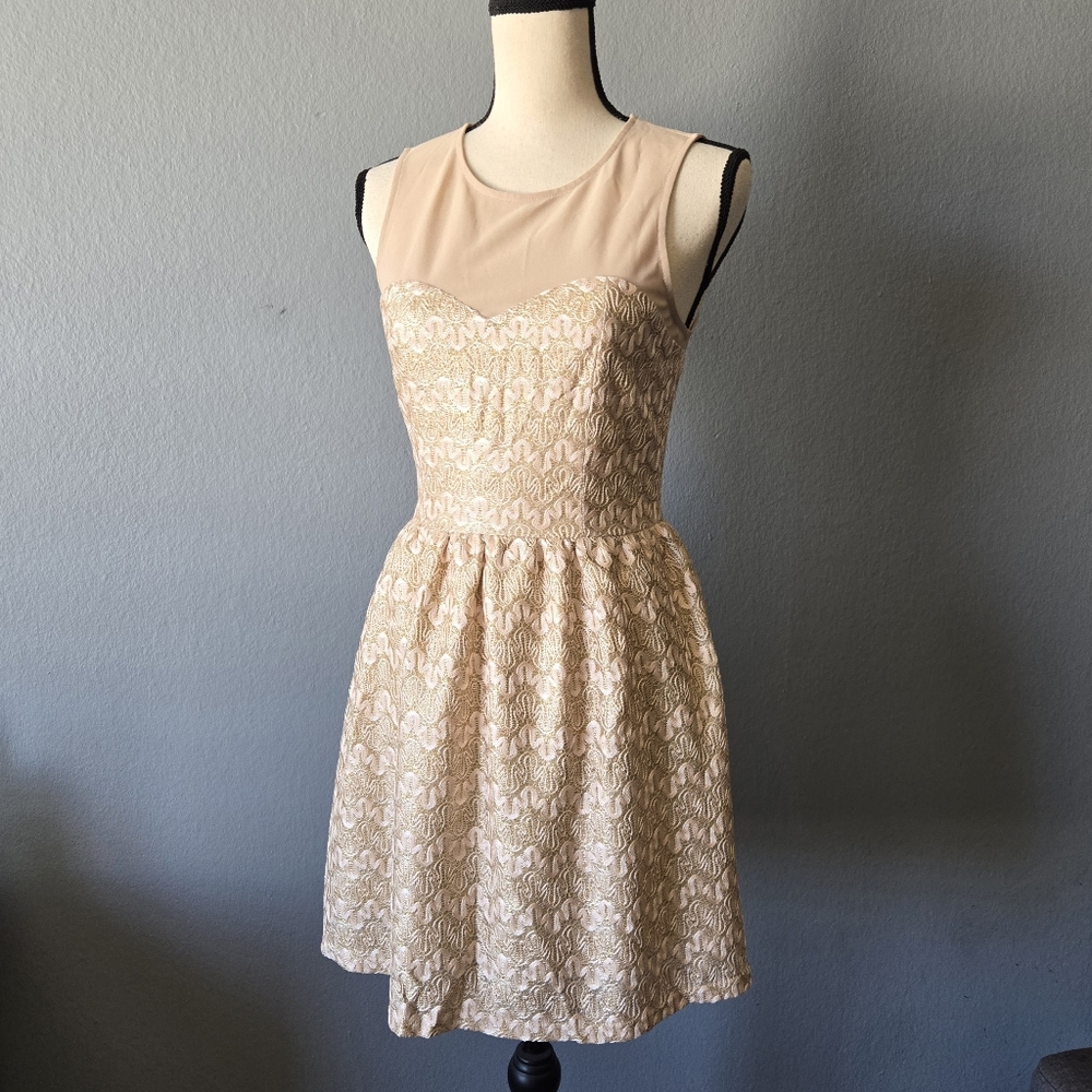 Forever 21 Champagne Color Lace & Mesh Dress